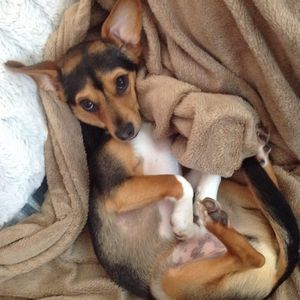 Meet your Posher, Beth